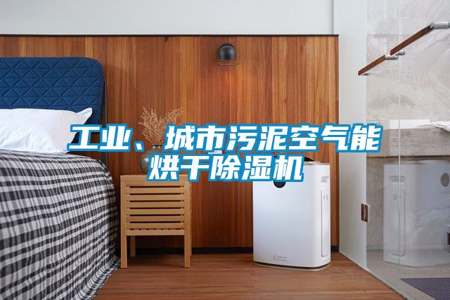 工業(yè)、城市污泥空氣能烘干除濕機