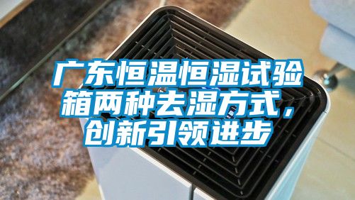 廣東恒溫恒濕試驗箱兩種去濕方式，創(chuàng)新引領(lǐng)進步