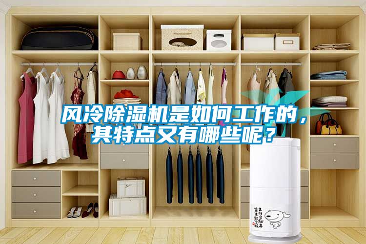 風(fēng)冷除濕機(jī)是如何工作的，其特點(diǎn)又有哪些呢？