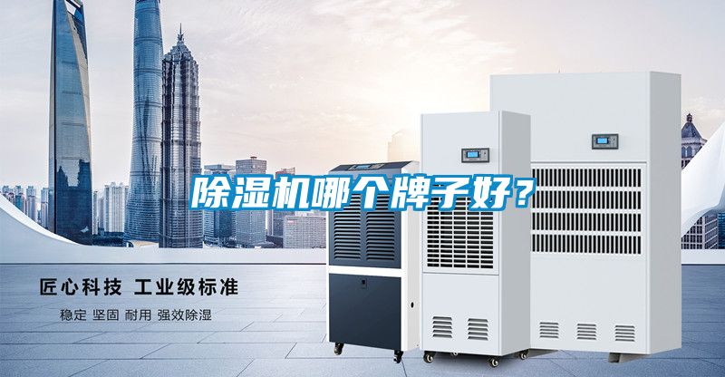除濕機哪個牌子好？