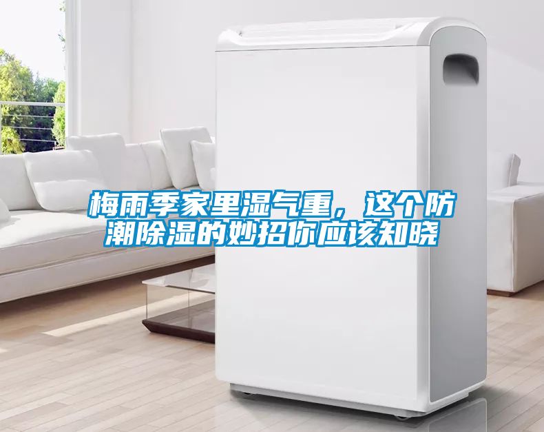 梅雨季家里濕氣重，這個(gè)防潮除濕的妙招你應(yīng)該知曉