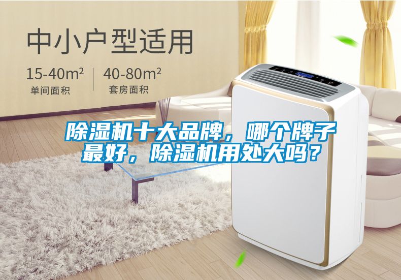 除濕機(jī)十大品牌，哪個牌子最好，除濕機(jī)用處大嗎？