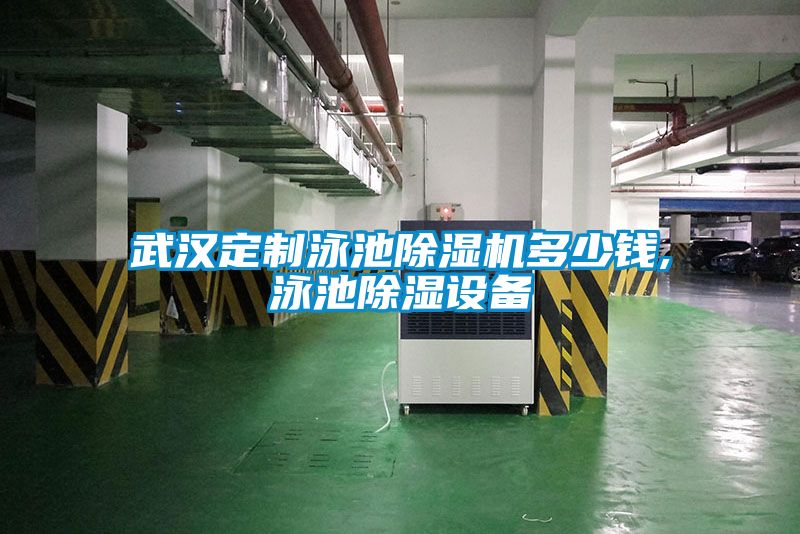 武漢定制泳池除濕機(jī)多少錢(qián),泳池除濕設(shè)備