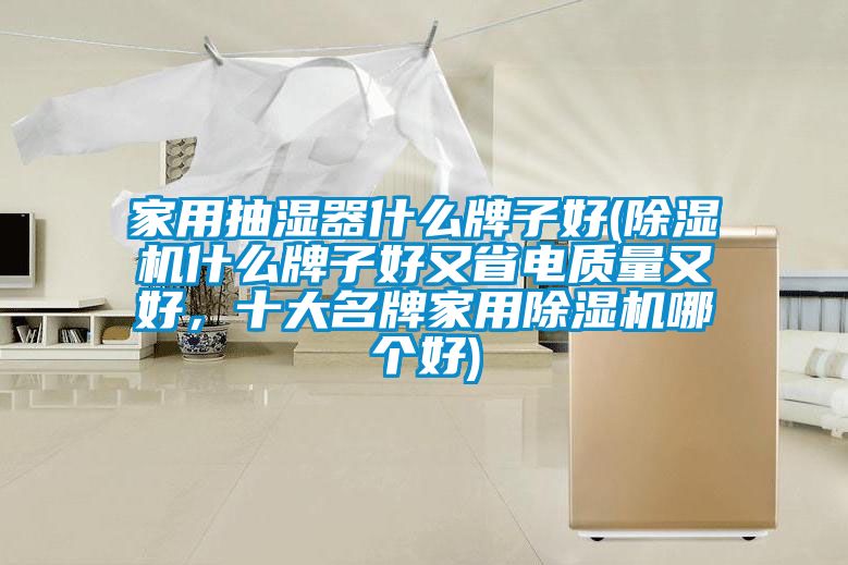 家用抽濕器什么牌子好(除濕機(jī)什么牌子好又省電質(zhì)量又好，十大名牌家用除濕機(jī)哪個好)