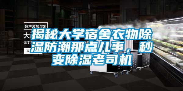 揭秘大學(xué)宿舍衣物除濕防潮那點兒事，秒變除濕老司機