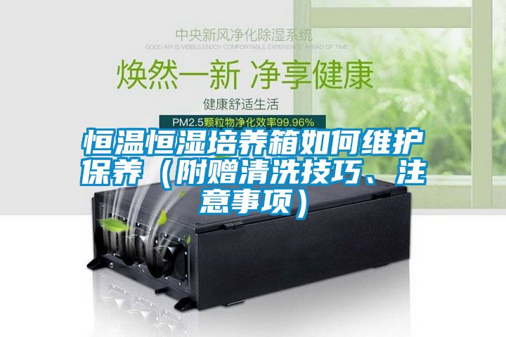 恒溫恒濕培養(yǎng)箱如何維護(hù)保養(yǎng)（附贈(zèng)清洗技巧、注意事項(xiàng)）