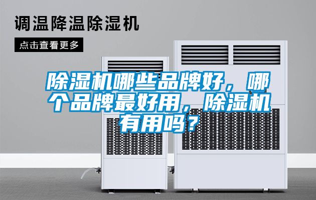 除濕機(jī)哪些品牌好，哪個(gè)品牌最好用，除濕機(jī)有用嗎？
