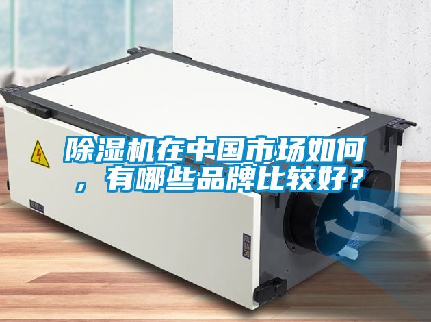 除濕機(jī)在中國市場如何，有哪些品牌比較好？