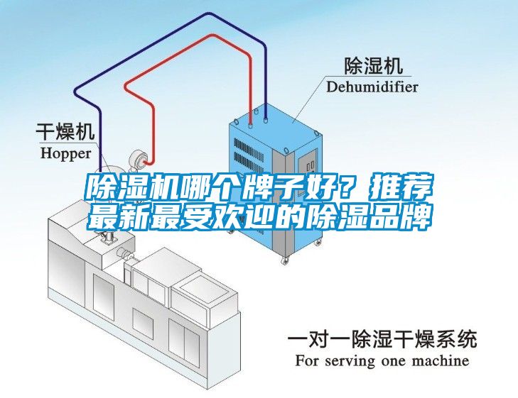 除濕機(jī)哪個(gè)牌子好？推薦最新最受歡迎的除濕品牌