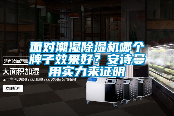 面對潮濕除濕機哪個牌子效果好？安詩曼用實力來證明