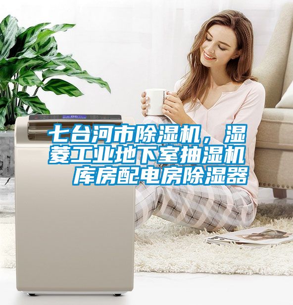 七臺河市除濕機，濕菱工業(yè)地下室抽濕機  庫房配電房除濕器