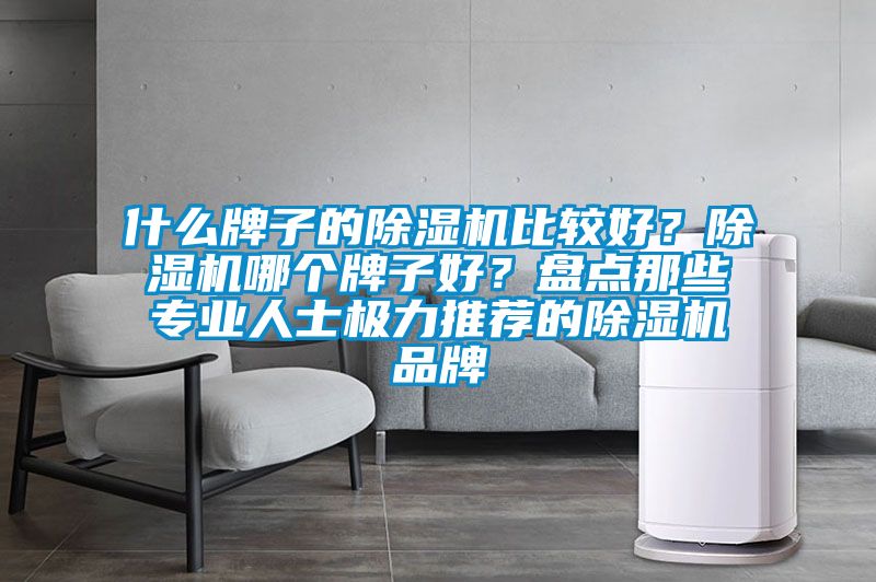 什么牌子的除濕機(jī)比較好？除濕機(jī)哪個(gè)牌子好？盤點(diǎn)那些專業(yè)人士極力推薦的除濕機(jī)品牌