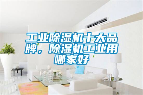 工業(yè)除濕機(jī)十大品牌，除濕機(jī)工業(yè)用哪家好