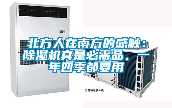 北方人在南方的感觸：除濕機真是必需品，一年四季都要用
