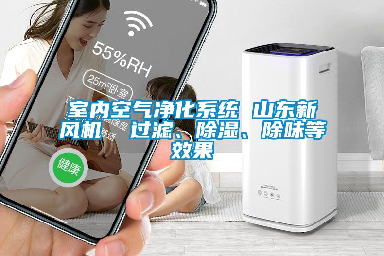 室內(nèi)空氣凈化系統(tǒng) 山東新風機  過濾、除濕、除味等效果