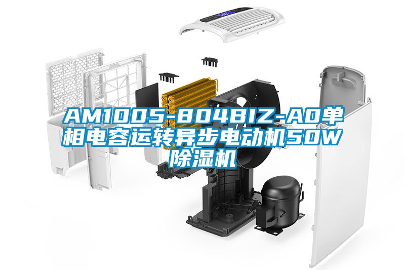 AM1005-804BIZ-A0單相電容運(yùn)轉(zhuǎn)異步電動機(jī)50W除濕機(jī)