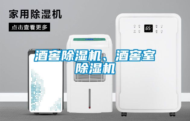 酒窖除濕機(jī)、酒窖室除濕機(jī)