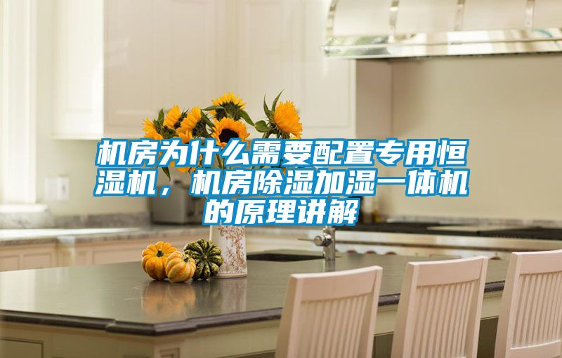 機(jī)房為什么需要配置專用恒濕機(jī)，機(jī)房除濕加濕一體機(jī)的原理講解