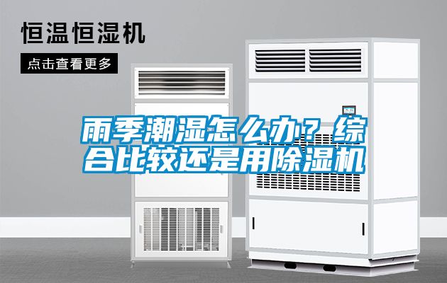 雨季潮濕怎么辦？綜合比較還是用除濕機