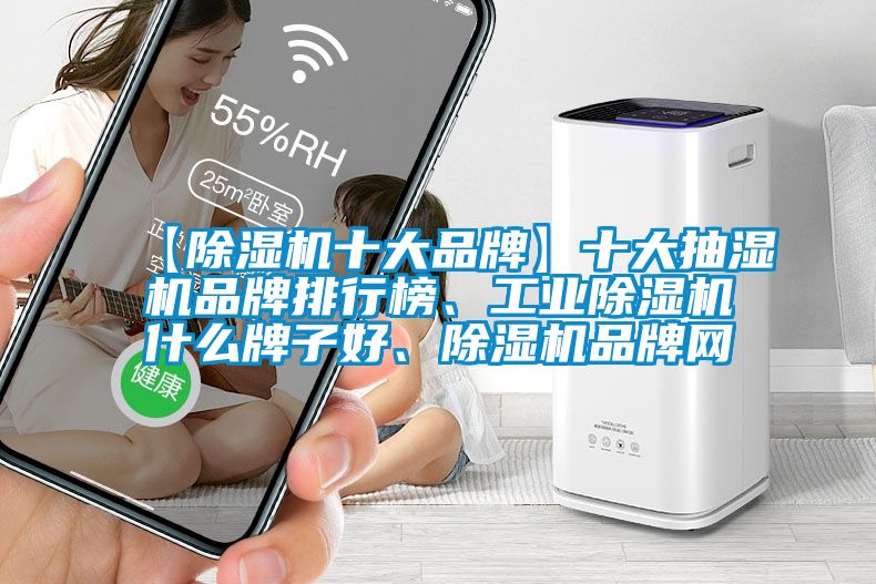 【除濕機十大品牌】十大抽濕機品牌排行榜、工業(yè)除濕機什么牌子好、除濕機品牌網