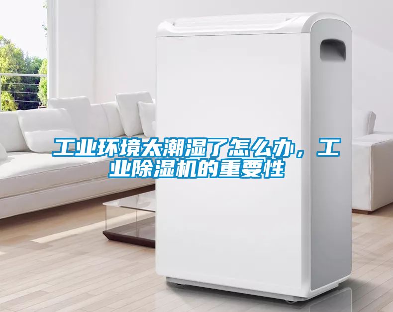 工業(yè)環(huán)境太潮濕了怎么辦，工業(yè)除濕機的重要性