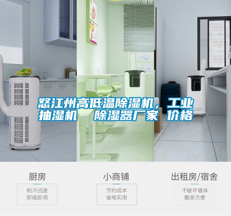 怒江州高低溫除濕機，工業(yè)抽濕機  除濕器廠家 價格